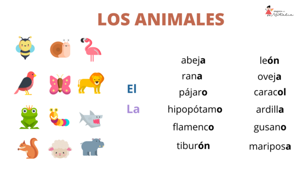 ficha 1 animales en español